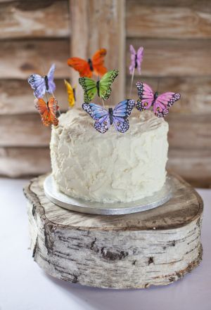 Rainbow-Wedding-Cake-6692